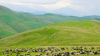 Farm management tips for September