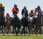 Horse-breeding mask company onto a winner