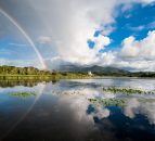 Clean water key for agri-food industry, EPA
