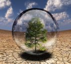 Climate change: 'With the right support...farmers can be part of the solution'
