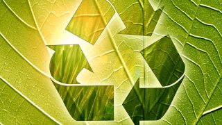 Experts discuss group agri-environment payments