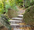 Keep a good pace and walk on