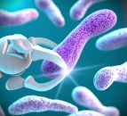Parasite control at housing