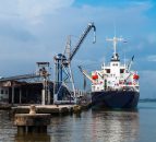 No delays in live export applications, nine in, two approved - Minister