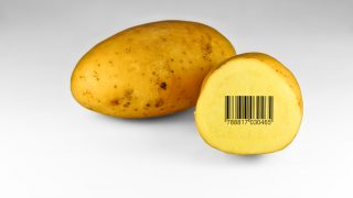 Food safety boss says it’s time to put aside ‘irrational fears of GM technology’