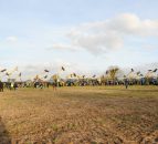 All-Ireland hedgecutters set Guinness world record