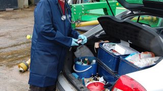 The growing scourge of liver fluke