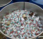 Farm waste pilot a huge success