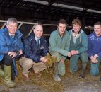 Efficient milk production on Ardboe dairy farm