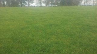 Dry weather set to continue