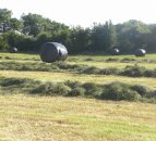 'New load restrictions will cause massive disruption'