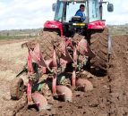 2015 is the International Year of Soils 