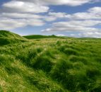 Collaborative farming initiatives post 2015, cow leasing, contract rearing, share farming