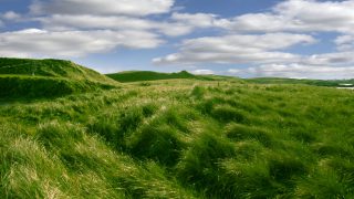 Collaborative farming initiatives post 2015, cow leasing, contract rearing, share farming