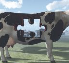  'New Zealand milk production to rebound in 2014' 