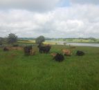 Family farm still on the table for student grant means test