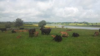 Family farm still on the table for student grant means test