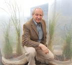 New late diploid ryegrass launched by AFBI 