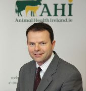 National BVD eradication programme update