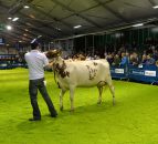 Dairy fairs are a winter wonderland for milk producers