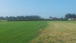 New grass varieties will constitute a ‘green’ flooding defence