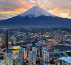 Ireland's shoguns on a Japanese mission