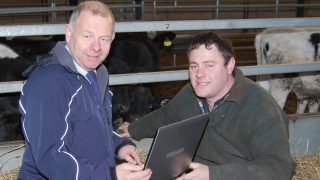 Linden Livestock website now fully interactive