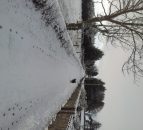 Laois farmers could be paid to salt roads this Christmas