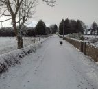 Severe weather has cost Ireland €892m since 2009 - FBD