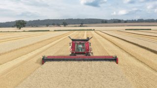 World’s largest header features at LAMMA