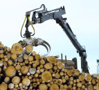 ESB imports 15,000 timber poles a year