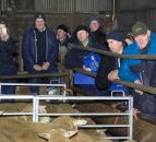 Farmers see sheep equal milk for margins