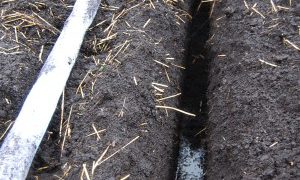 Case for a realistic drainage scheme is clear cut