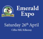 Top judge praises Emerald Expo dairy stock as 'best selection he has ever seen'