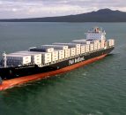 Fonterra auction analysis: Cautious optimism for global dairy commodity prices