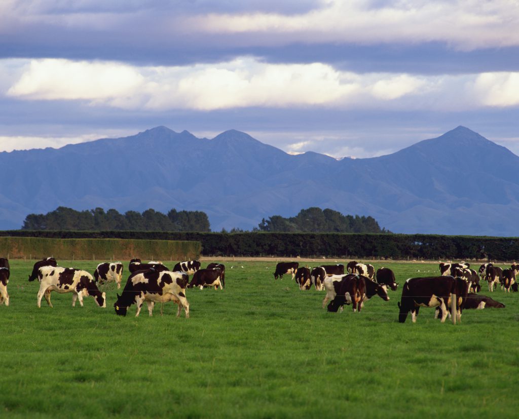 Fonterra