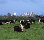 Fonterra expands organic range to meet growing demand