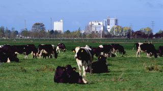 Drought in New Zealand sees farms use 10,000L of water daily