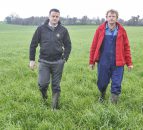 Lots of grass on Golden Vale dairy farm
