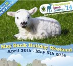 Roscommon sheep dog trials 