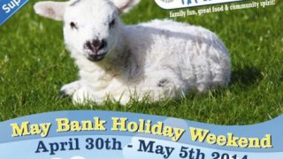 Roscommon sheep dog trials