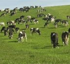 90% of herd fertility is good management 