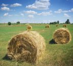 Environmental lobby says CAP won’t deliver for the environment