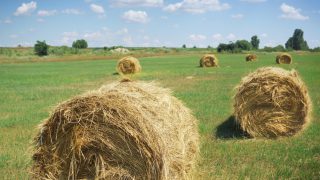 Environmental lobby says CAP won’t deliver for the environment