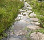 Video: Rural Development Programme and the environment