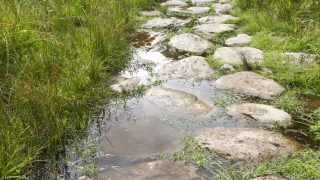 Video: Rural Development Programme and the environment