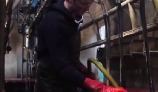‘Clean cows vital to low TBC’