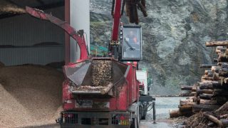 Have your say on EU bioenergy policy
