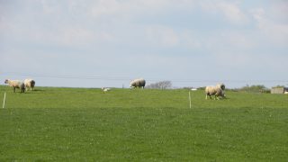 Supplies of land for sale set to rise