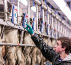 Young farmers optimistic about the future 